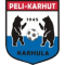 PELI-KARHUT team logo 