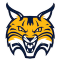 Quinnipiac Bobcats team logo 