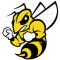 Randolph Macon Yellow Jackets team logo 