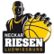 Riesen Ludwigsburg team logo 