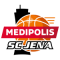 SC Iéna team logo 