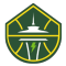 Seattle Storm team logo 