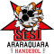 SESI / Araraquara team logo 