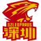 Shenzhen Leopards