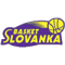 Slovanka team logo 