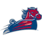 South Carolina-Aiken Pacers