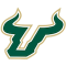 Bulls do Sul da Florida team logo 