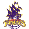 South West Metro Pirates team logo 