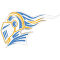 Southern New Orleans Knigths team logo 