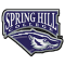 Spring Hill Badgers team logo 