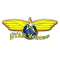 Starwings Basket team logo 