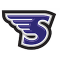 Stonehill Skyhawks team logo 