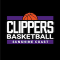 Sunshine Coast Phoenix team logo 