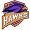 Tangerang Hawks team logo 