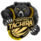 Taurinos De Aragua team logo 