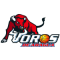 Toros de Aragua team logo 