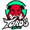 Toros Del Valle team logo 