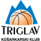 Triglav Elektro Gorenjska Prodaja team logo 