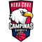 Vera Cruz Campinas team logo 