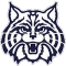 Wilmington Wildcats team logo 