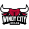 WINDY CITY BULLS