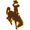 Wyoming Cowboys team logo 