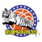 Xinjiang Flying Tigers team logo 