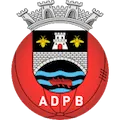 Ponte Da Barca