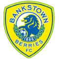 Bankstown Berries