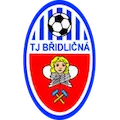 TJ Bridlicna