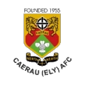 Caerau Ely