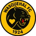 Wasquehal FC