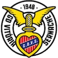 GD Vitoria Sernache