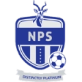 NGEZI PLATINUM