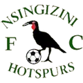 Nsingizini Hotspurs FC Eswatini