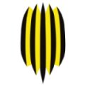 FC Rukh Lviv