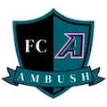 Saint Louis Ambush