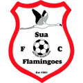 Sua Flamingoes