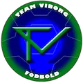 Team Viborg
