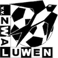 Zwaluwen