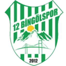 12 Bingol Spor