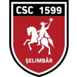 ACS VIITORUL SELIMBAR