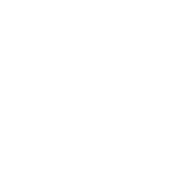 BFC Preussen Berlín