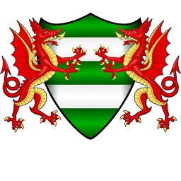 Brckfield Rangers