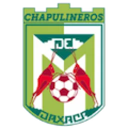Chapulineros De Oaxaca