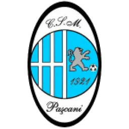 CSM Pascani
