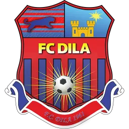 Dila Gori