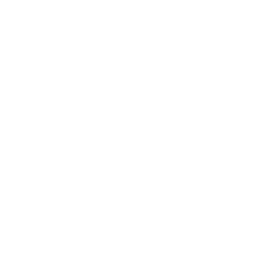 Dinamo Tiflis