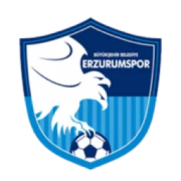 Erzurumspor FK
