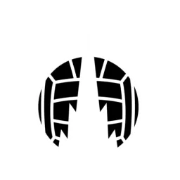 Falkirk FC